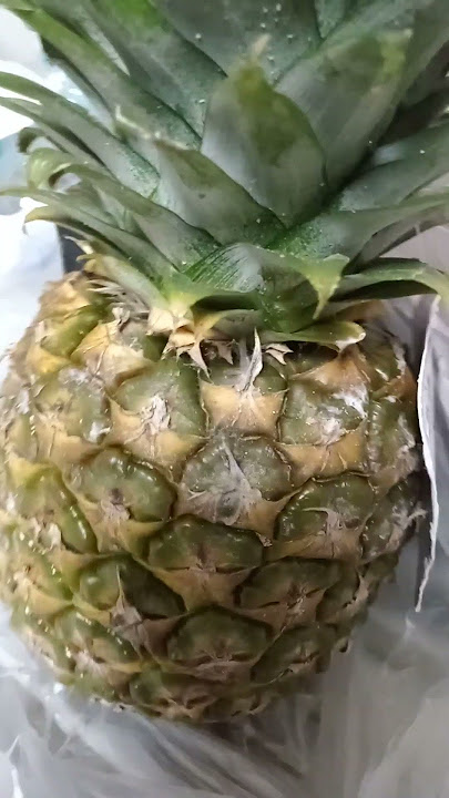 Ang Pinya baw ! #shortvideo #trending #fruit
