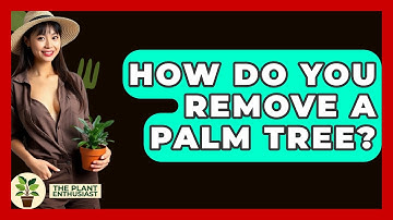 How Do You Remove A Palm Tree? - The Plant Enthusiast