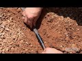 Drip Irrigation Repair - Poly Tubing Leak Drip Irrigation Repair - Poly Tubing Leak