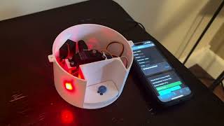 How I Built an Automatic Pill Dispenser.