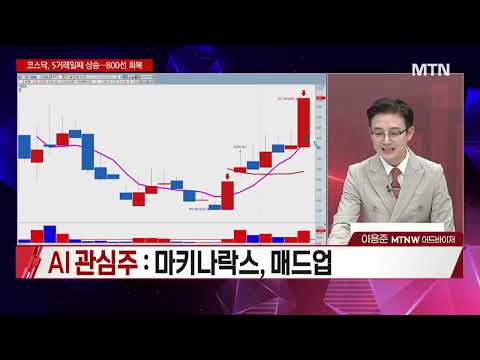 [시선강탈] 반도체 팔고 이 주식 담아라! 리가켐바이오 vs 대원전선 vs 태웅 하반기 주도주 완벽 해부 | 머니투데이방송(증시, 증권)