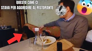 UN CANE CI STAVA PER AGGREDIRE IN UN RISTORANTE !! - VLOG A ROMA