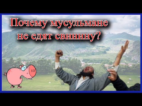 Почему мусульмане не едят свинину?