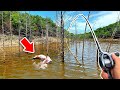 Flipping a FLOODED Forest for BIG Fish!! (River Fishing)