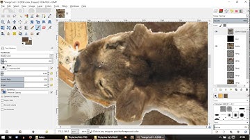 ZT2 Creature Creation Tutorial - 12 - Texture 2