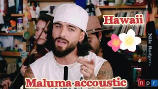 Hawaii Maluma acoustico - tiny desk