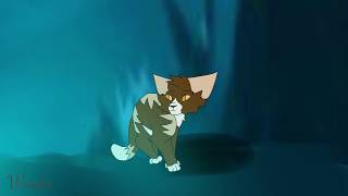 Lighthouse Warriors cats MAP #20 #21