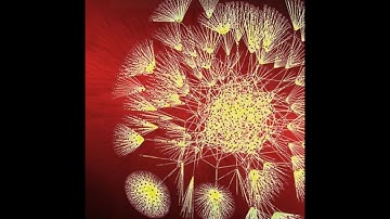 1.4 - Subqueries [Big Data Integration and Processing]