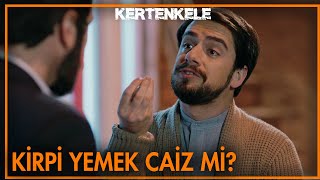 Gece Gece Hi̇cabi̇ni̇n Sorusu...🦔 - Kertenkele