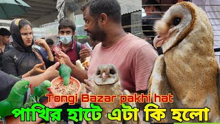 টঙ্গী বাজার পাখির হাট|Tongi Bazar pakhi hat |পুরো জমজমাট পাখির হাট || সব ধরনের পাখির দাম জানেন |আমার