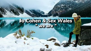 Jo Cohen and Sex whales - We are (Lyrics)