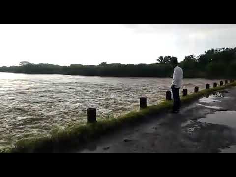 केज तालुक्यात रात्री झालेल्या अतिवृष्टीने नद्या तुडुंब भरून वाहू लागल्या