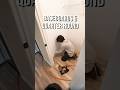 Installing baseboards and quarter round #DIY #Homeimprovement #homerenovation #remodel #diyflooring