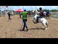 PONYS CUADRA LA ANTENNA VS CUADRA LA ESTRELLA  50 YDS