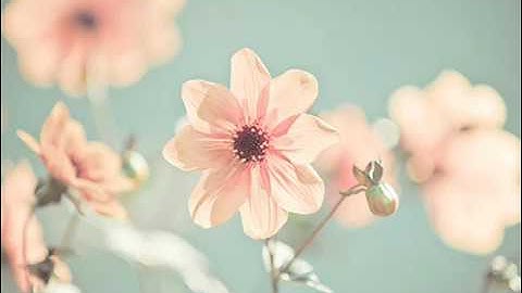 جزء تبارك  القارئ وديع اليمني مميز