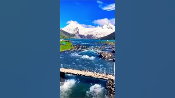 واتس اب قران كريم القارئ ياسر الدوسري (سوره الزمر)