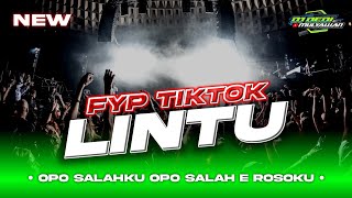 DJ OPO SALAHKU OPO SALAH E ROSOKU • LINTU DJ VIRAL TIKTOK