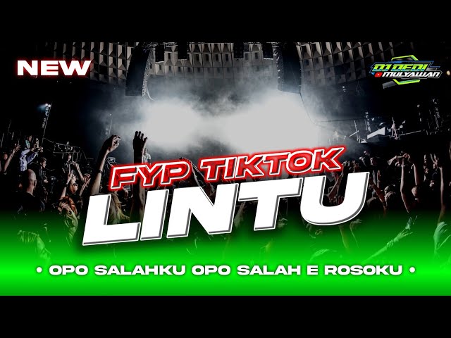 DJ OPO SALAHKU OPO SALAH E ROSOKU • LINTU DJ VIRAL TIKTOK class=