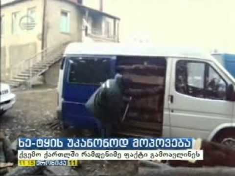 MOE: ქვემო ქართლში ხე-ტყის უკანონო მოპოვებისა და ტრანსპორტირების რამდენიმე ფაქტი გამოვლინდა