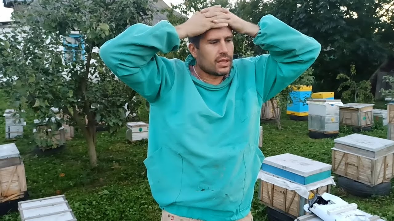 Подкормка пчел ответы на вопросы - YouTube