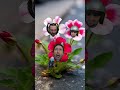 Spring has sprung and the world is still on fire... #flowers  #funny #newmusic #rock #humor  #punk
