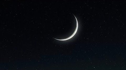 تلاوة خاشعة بصوت القارئ الشيخ ناصر العمري من سورة الواقعة 