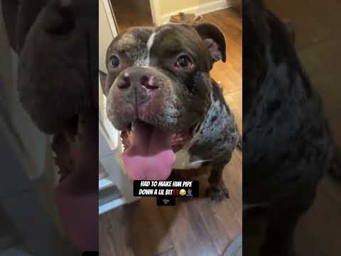 HAD TO MAKE SHIESTY PIPE DOWN A LIL Shiesty Funny Youtube KeepGodFirst Fyp