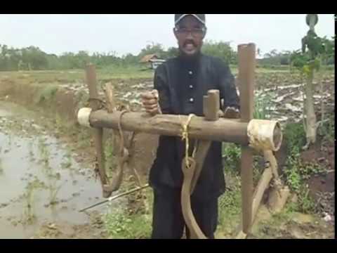 Mengenal alat  pertanian  pengolah tanah tanaman padi secara 