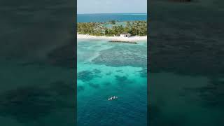 Kayak Through The Tranquil Lagoons And Discover The Hidden Beauty Of Our Island.