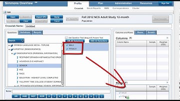 Creating a Crosstab in Simmons