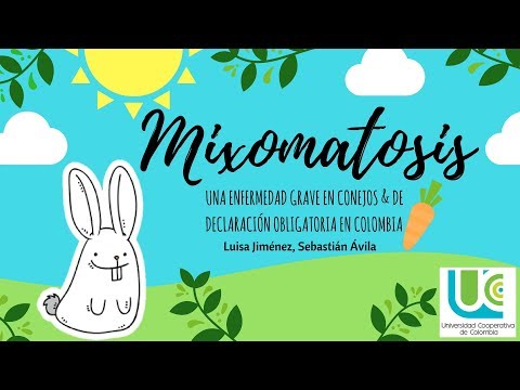 Video: Virus Del Mixoma En Conejos