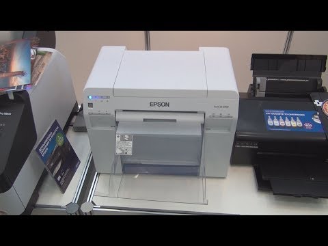 Epson SureLab D700 Commercial Photo Production printer review