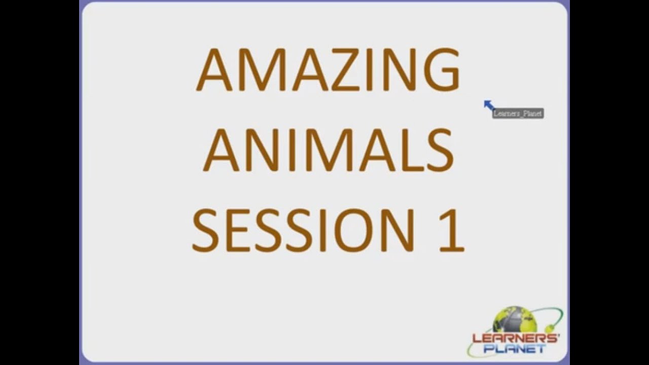 5th class science amazing animals s 1 worksheets on grade 5 amazing animals youtube