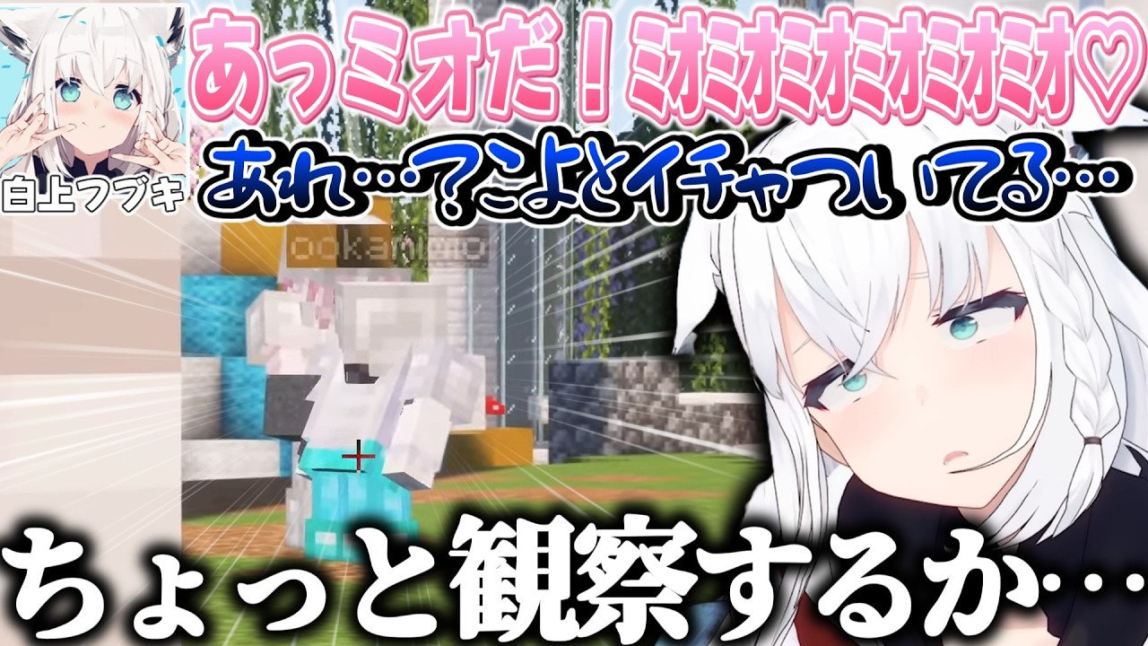 ウキウキでミオしゃに駆け寄ったらこよとイチャついてる場面を目撃してしまうフブさん【大神ミオ/白上フブキ/博衣こより/ホロライブ切り抜き】