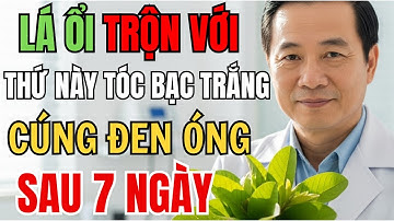 Trị Tóc Bạc Sớm Bằng Lá Ổi – Bí Quyết Dân Gian Giúp Tóc Đen Bóng Sau 1 Tuần - Sống An Nhiên Tuổi 60