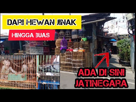 menyusuri pemukiman padat