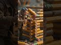 Building the Ultimate Log Cabin... Out of GIANT Pencils! ✏️🪵 #shorts #shortvideo