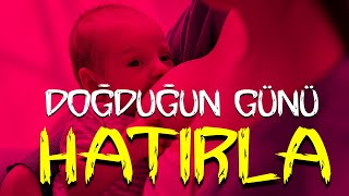 İçgüdülerin Kökeni: Bir Bebek, Anne Memesi Emmeyi Nereden Biliyor? | Baldwin Etkisi