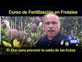 El Zinc para reducir la caída de frutos. Curso de Fertilización en Frutales