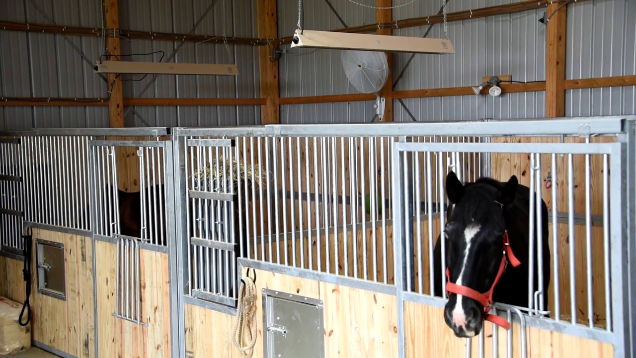 Safe Best Horse or Livestock Barn Fan YouTube