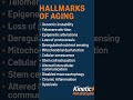 What causes aging? #hallmarksofaging #antiaging #autophagy #kineticrehabandspine