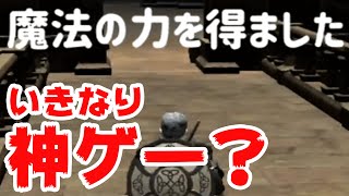 魔法が産廃のク〇ゲーで唐突に神魔法が手に入りました #5【ファイナルソード】