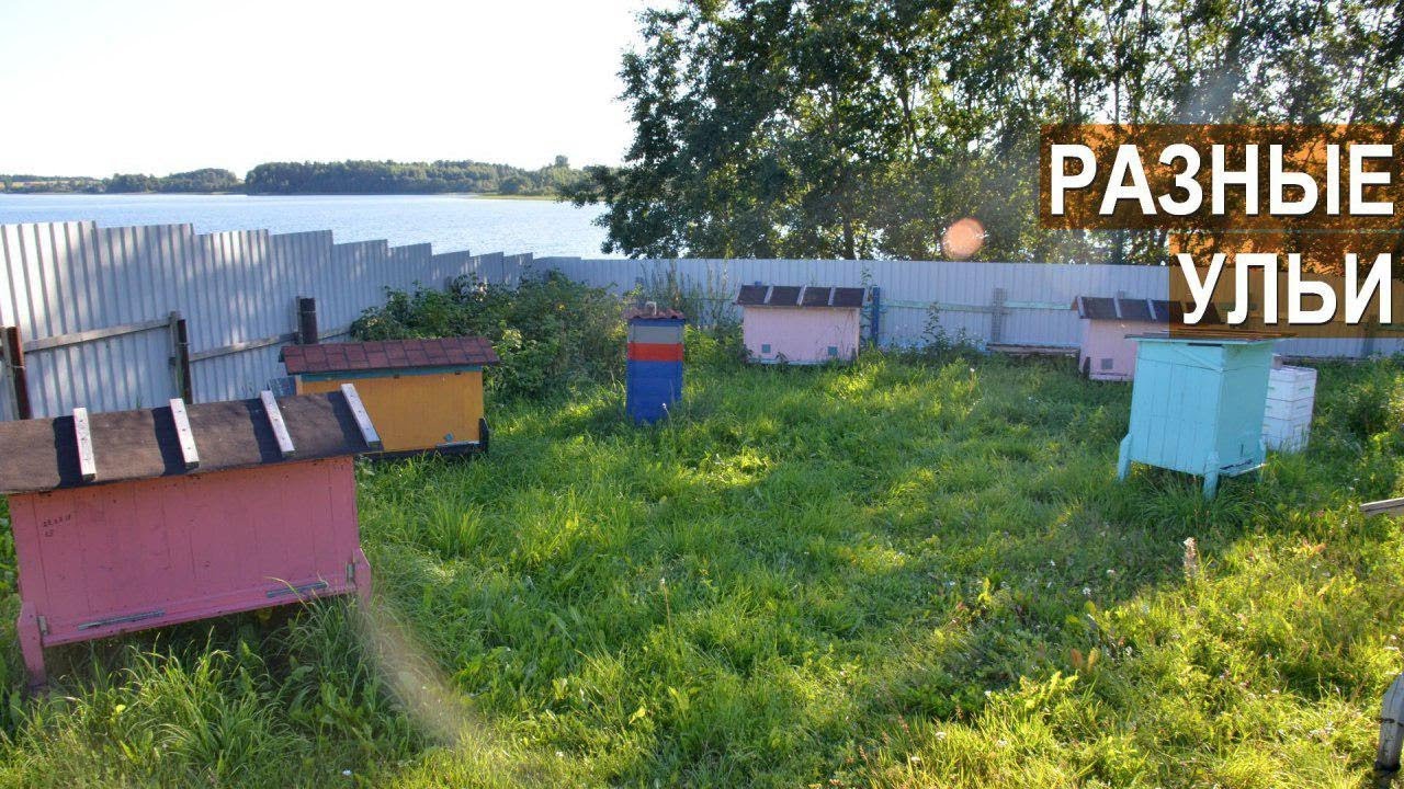 Ульи разных конструкций на пасеке Цветкова А.А. - YouTube