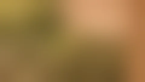 FOSHE A3i vs. HPS mid-flower review