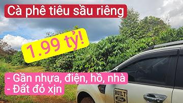 Bán vườn cà phê giá rẻ gần dân cư, bất động sản đất rẫy giá rẻ, nhà vườn cà phê