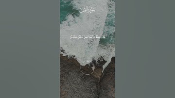 وحشر لسليمان جنوده من الجن والانس والطير فهم يوزعون #تلاوة_هادئة #قرآن