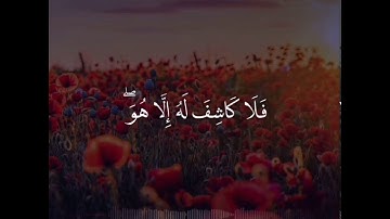مقطع قصير |سوره يونس| تلاوه الشيخ |عبدالله الموسى