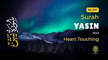 Soothing Surah Yasin for Restful Sleep, Depression, & Stress Relief ✦ Surah Yaseen سورة يس