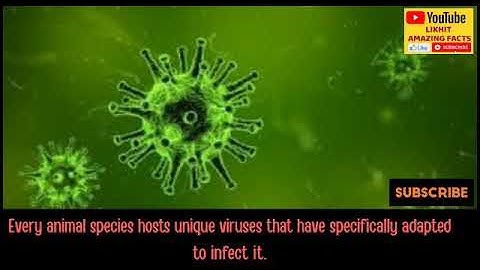 How do viruses jump from animals to humans