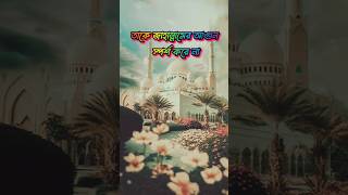 New islamic short videoshortsshortsfeed islamicvideo tiktok